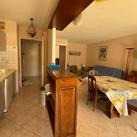 Apartment With Terrace Near The Of Arcachon